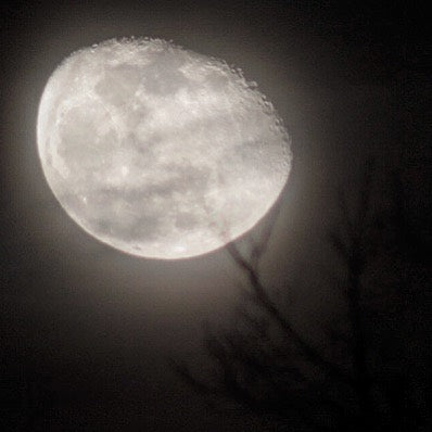 Full Moon Paddle & Float