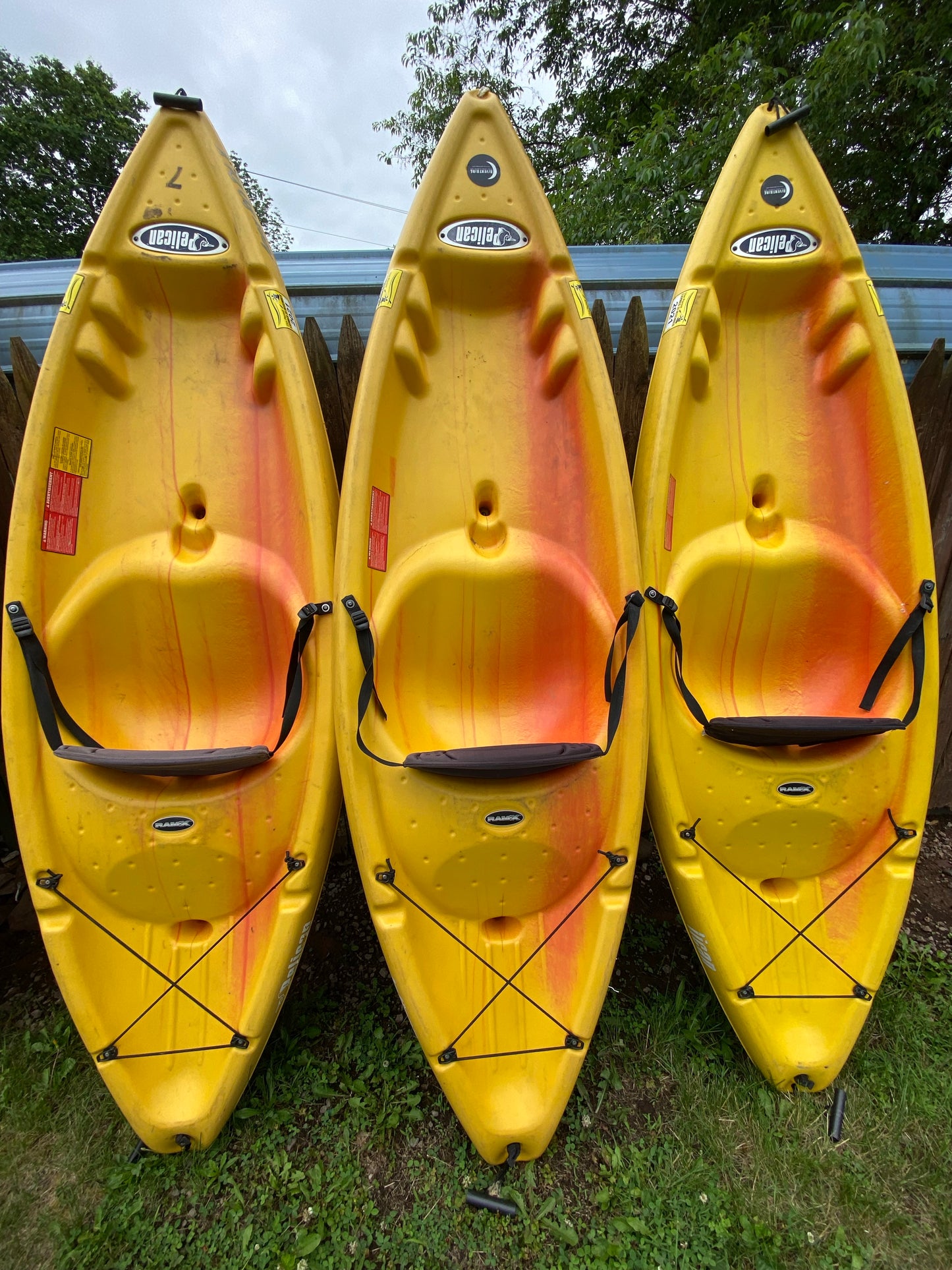 9-mile Schuylkill River Kayak Trip